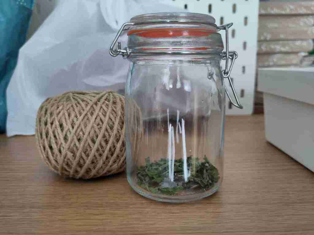 First Dried Mint Leaves in Container + First Length of&nbsp;Knitting